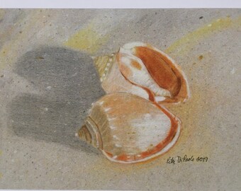 Seashell Note Card: Conch Shell Art, Beach Visit Cards