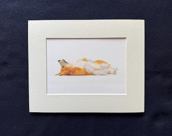 Corgi, reminiscent of the Queens Corgi's, scritches please, belly up!