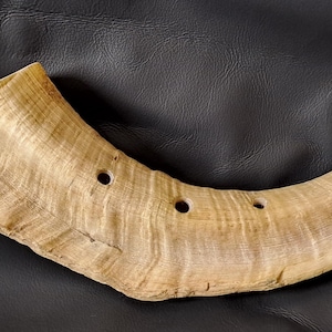Blow Goat Bukkehorn Bockhorn horn Viking Blowing Horn