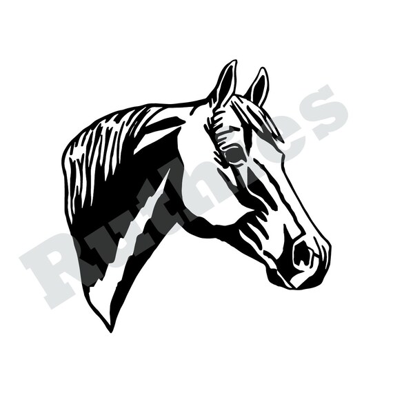 Quarter Horse Head SVG DXF Graphic Art Cut Files Etsy