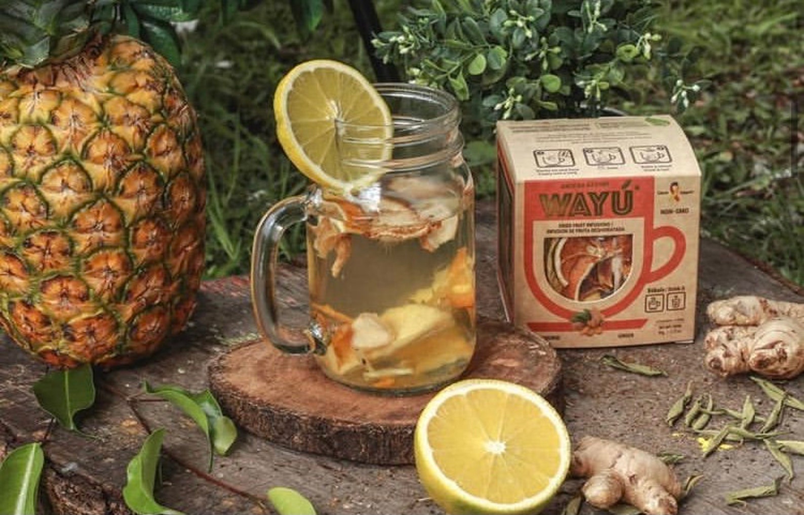 Dried Fruit Infusion Etsy