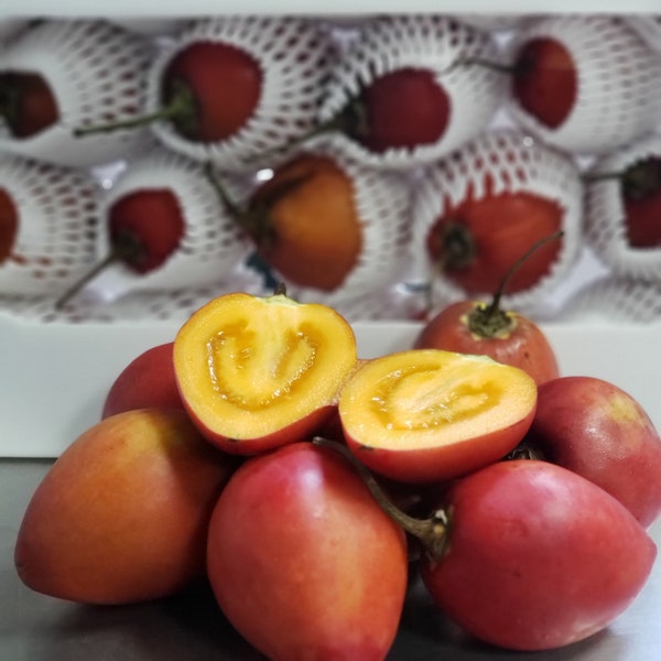 Tomate de Arbol, Tree Tomato, Tamarillo, Fresh Fruit, 2.5  Pounds per box