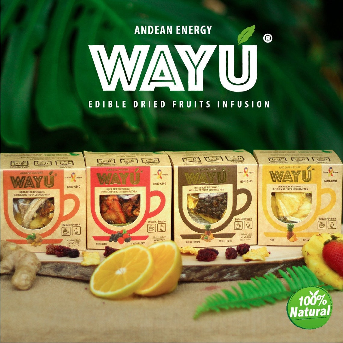 Dried Fruit Infusion Etsy