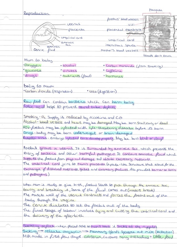 Reproduction In Organisms Gcse Biology Revision Notes Communities