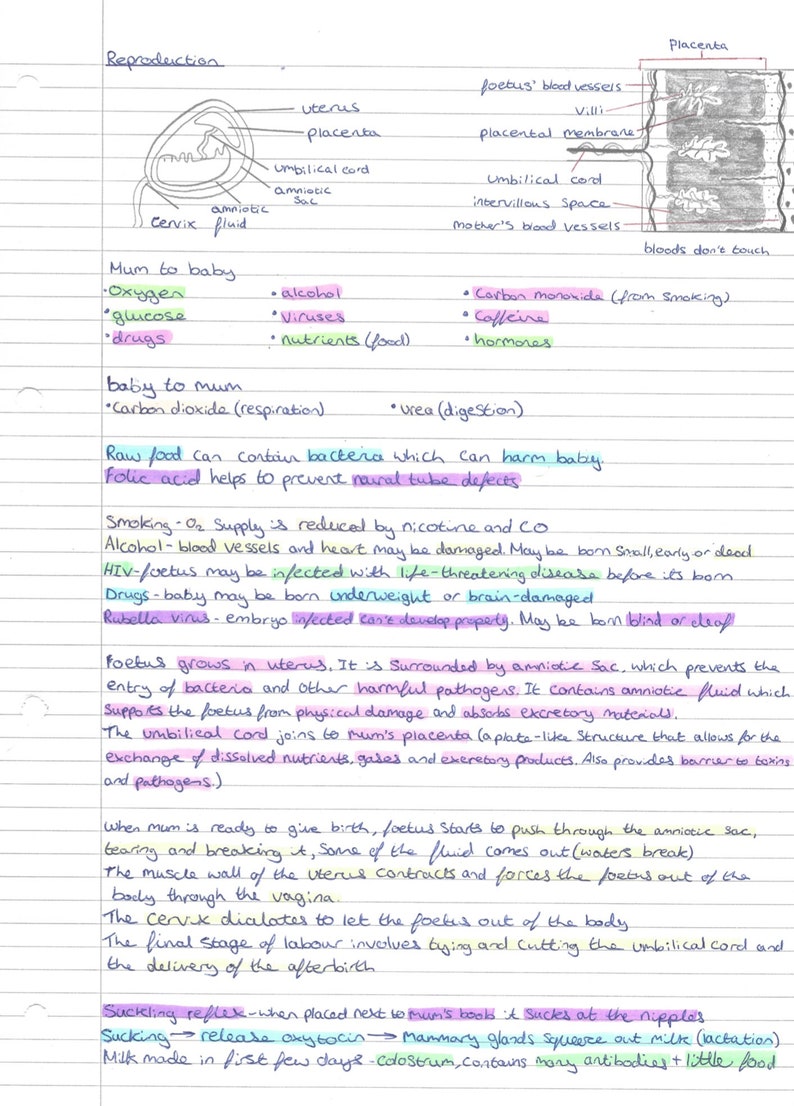 GCSE Biology Revision Notes Guide Written by a Grade 9/ A* Student - Etsy