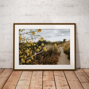 Yellow Flowers Nature Photography Print: Modern Home Decor (Digital Download)