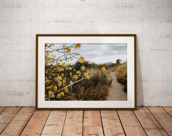 Yellow Flowers Nature Photography Print: Modern Home Decor (Digital Download)