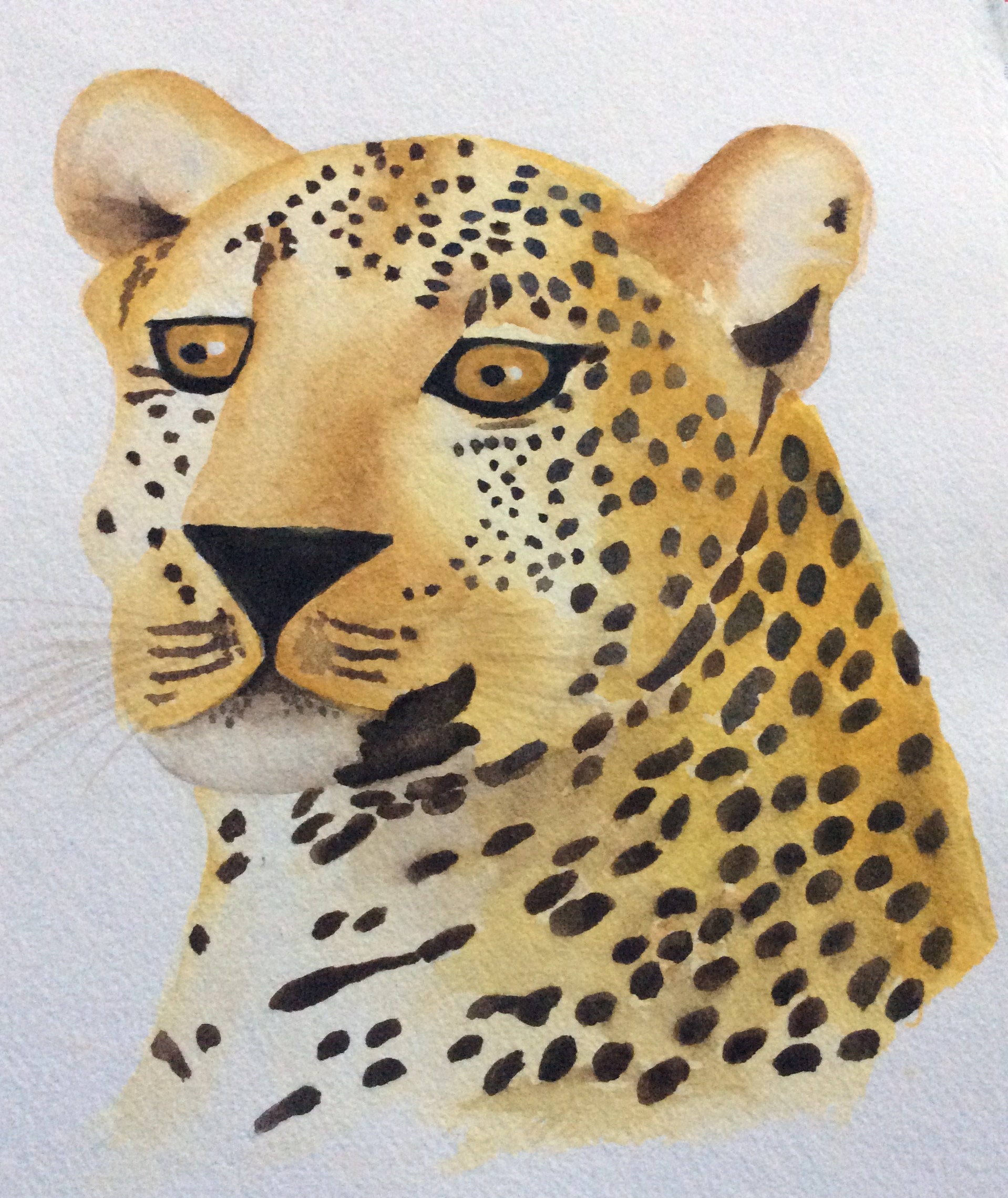 6 Animal Note Cards Etsy