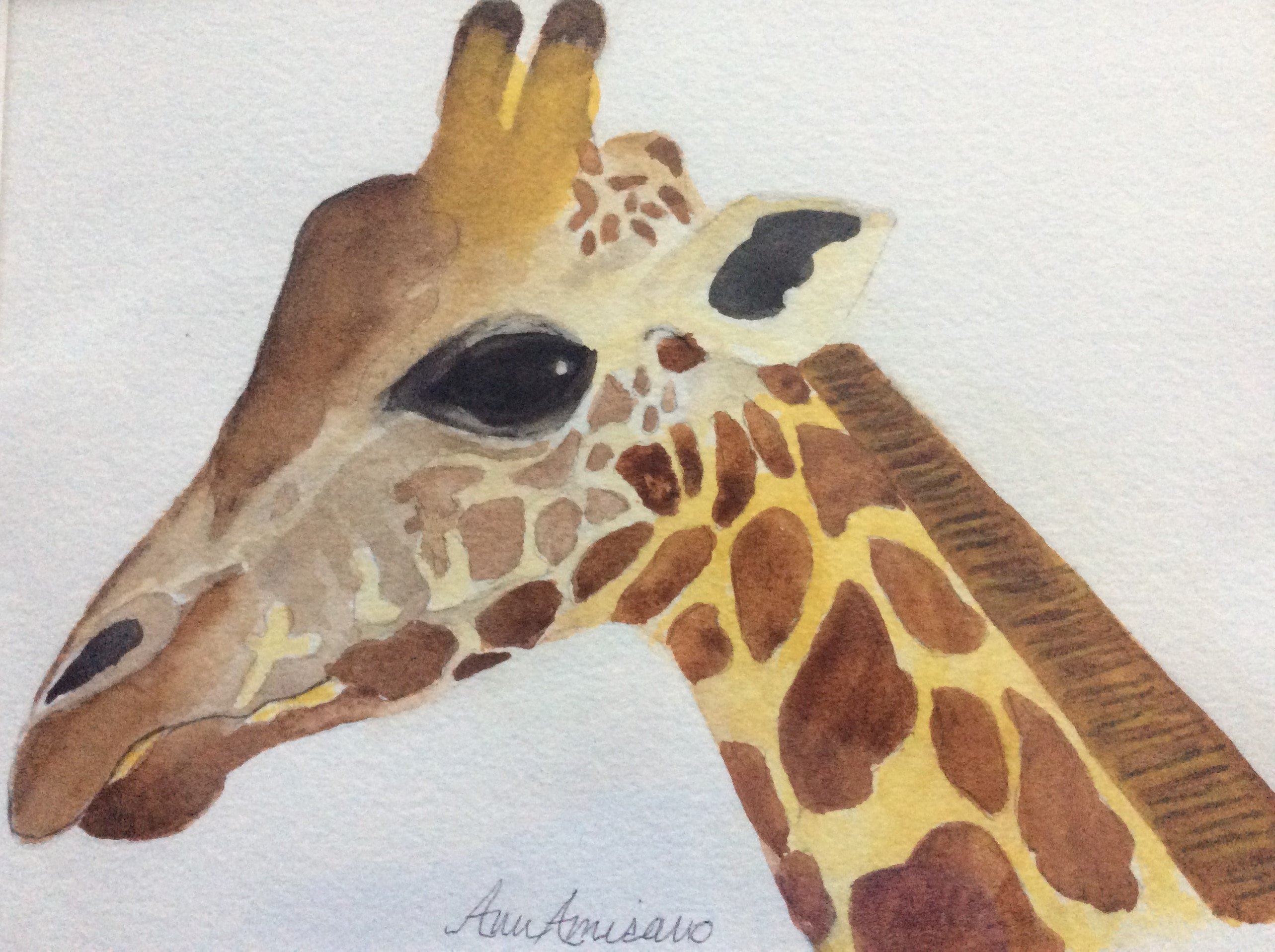 6 Animal Note Cards Etsy 6-animal-note-cards-etsy