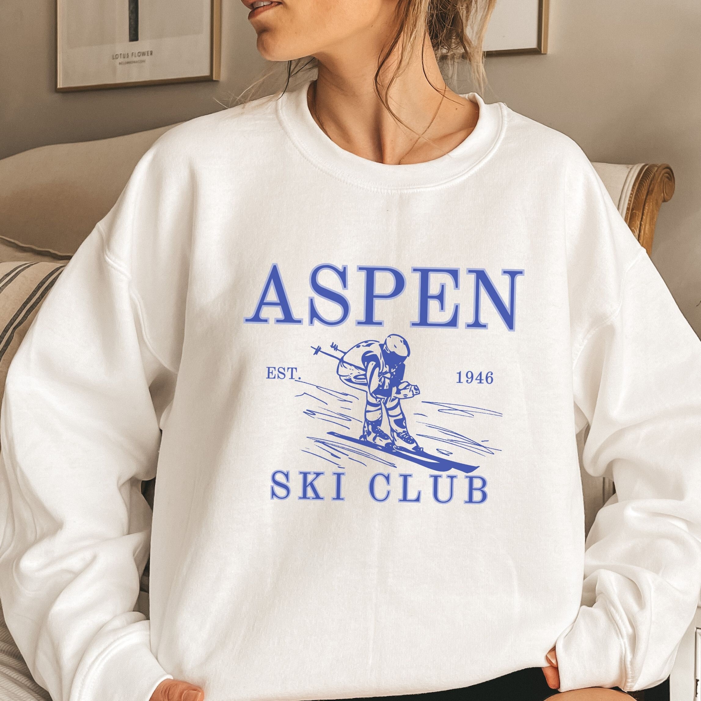 Aspen Mens Hoodie