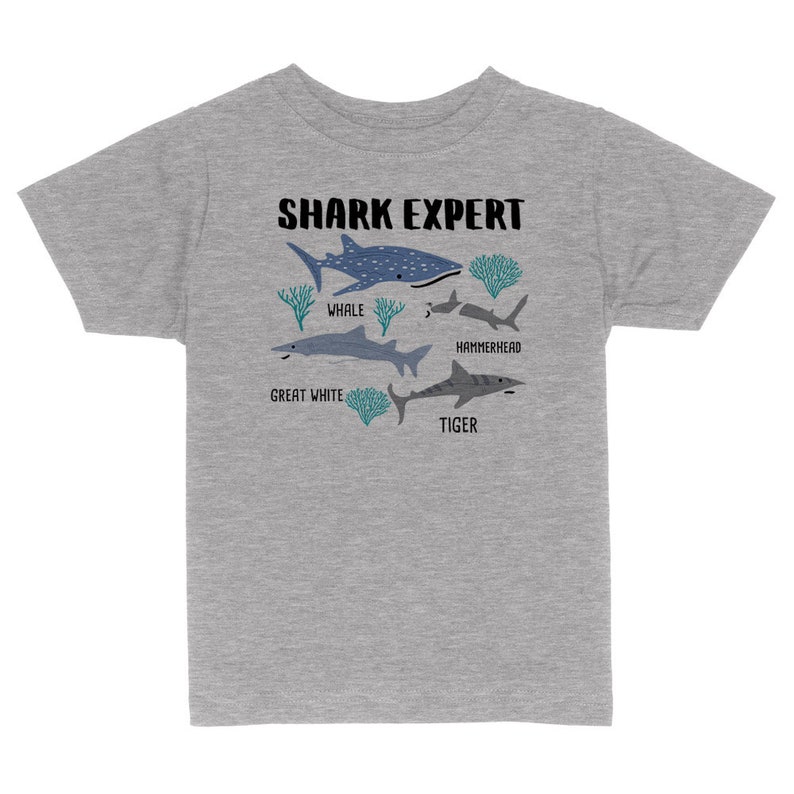 Shark Expert Toddler & Kids Youth T-Shirt, Type of Sharks, Shark Youth Tee, Cute Toddler Shark Tee, Funny Baby, Ocean Fish Graphic tee Gray