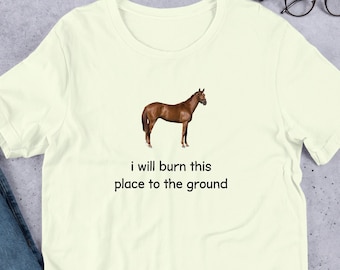 I Will Burn This Place To The Ground T-Shirt Y2K Funny Meme Shirt / Weirdcore Clothing / Oddly Specific / Unhinged Shirt / Sassy Shirt