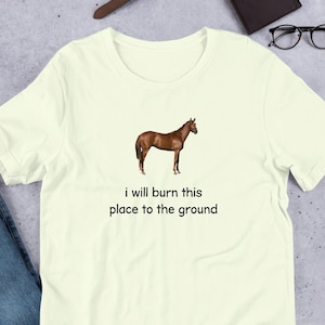 I Will Burn This Place To The Ground T-Shirt Y2K Funny Meme Shirt / Weirdcore Clothing / Oddly Specific / Unhinged Shirt / Sassy Shirt