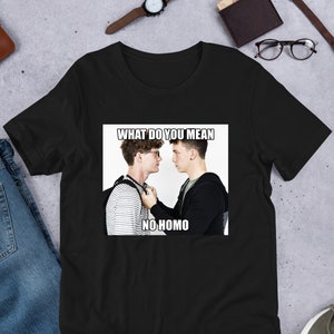 What Do You Mean No Homo / Funny Gay Meme Shirt / Pride Clothing / Oddly Specific / Unhinged Shirt / Funny LGBTQ / Lesbian Tee