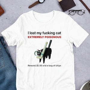 I Lost My Cat Meme, Funny Cat Meme Shirt, Ironic Shirt, Weirdcore Clothing, Low Poly Feline, Oddly Specific, Unhinged, Cursed, Cat Lover