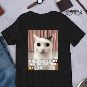 Your Balls Will Explode Funny Cat Meme Shirt, Ironic Shirt, Weirdcore Clothing, Odd Feline Kitty, Oddly Specific, Unhinged, Cursed, Cute Cat