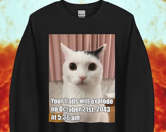 Your Balls Will Explode, Funny Cat Meme Sweatshirt, Gift For Friend, Weirdcore, Oddly Specific, Unhinged, Cursed, Novelty Sweater, Gag Gift