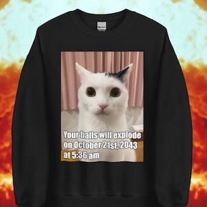 May include: Black sweatshirt with a white cat with black markings looking at the camera. The text on the sweatshirt reads "Your balls will explode on October 21st, 2043 at 5:36 am."