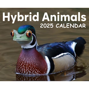 Hybrid Animals 2025 Calendar, Animal Lover Gift, Funny Animal Meme, Quirky, Christmas, Birthday Gift Idea, Present, Novelty, Gag Gift