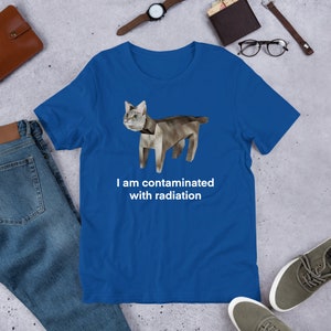 I Am Contaminated Funny Cat Meme Shirt / Ironic Shirt / Weirdcore Clothing / Low Poly Feline / Oddly Specific / Unhinged / Cursed image 8