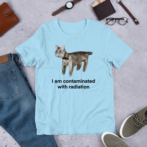 I Am Contaminated Funny Cat Meme Shirt / Ironic Shirt / Weirdcore Clothing / Low Poly Feline / Oddly Specific / Unhinged / Cursed image 3