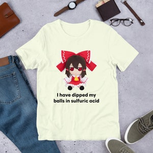 I Have Dipped Touhou Fumo Plush, Cirno Marisa Reimu, Funny Anime Meme Shirt, Unhinged Shirt, Waifu Shirt, Otaku Clothing, Touhou Dolls Citron