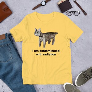 I Am Contaminated Funny Cat Meme Shirt / Ironic Shirt / Weirdcore Clothing / Low Poly Feline / Oddly Specific / Unhinged / Cursed image 4