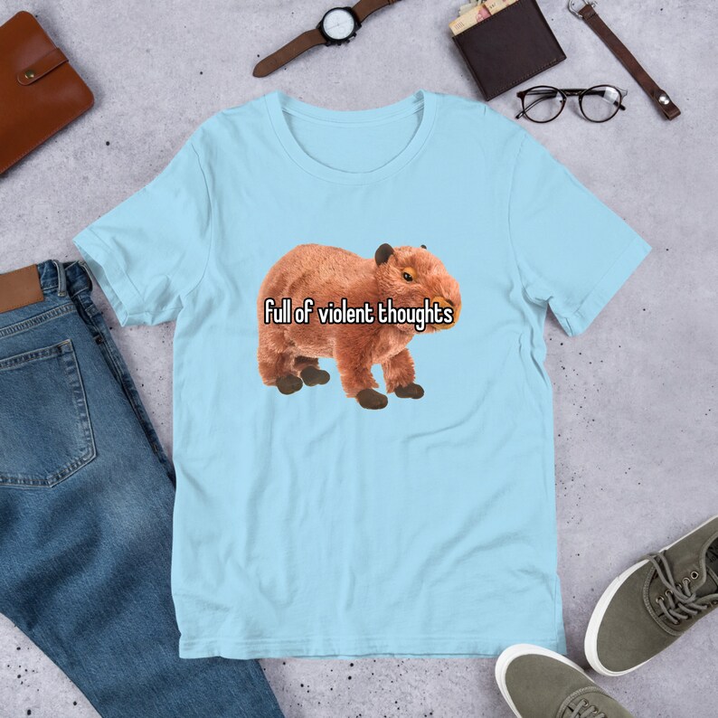 May include: A light blue t-shirt with a brown capybara illustration and the text "Full of violent thoughts".