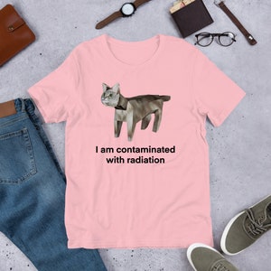I Am Contaminated Funny Cat Meme Shirt / Ironic Shirt / Weirdcore Clothing / Low Poly Feline / Oddly Specific / Unhinged / Cursed image 5