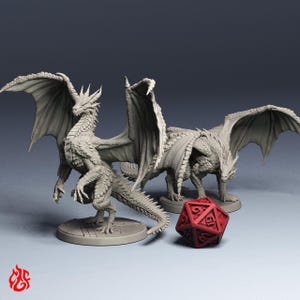 Red Dragon Wyrmlings | RPG-miniatyrer för DnD-bordskrigsspel | 32 mm skala | F941