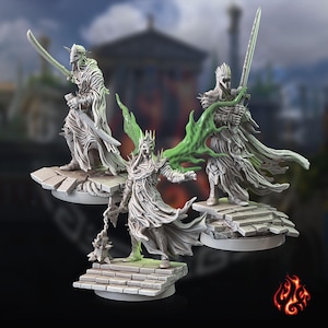 Wraith Lords | miniature for fantasy rpg tabletop games, 28-32 mm scale