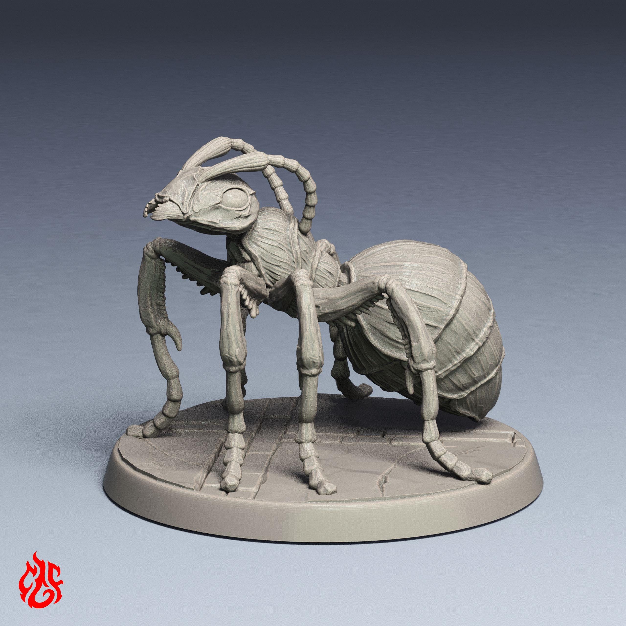 Giant Ants Bundle | RPG Miniatures for Dnd Tabletop Wargames | 32 Mm ...