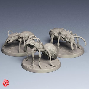 Lote de Hormigas Gigantes / Miniaturas de rol para juegos de mesa de DnD / Escala de 32 mm / F823