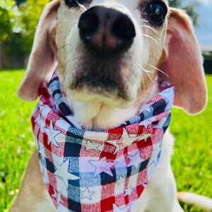Patriotic Doggo Bandana