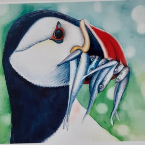 Puffin bird art print watercolour print, puffin sea bird painting home décor,