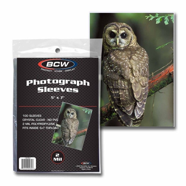 BCW 5x7 Photo Sleeves (100 Sleeves per Pack)