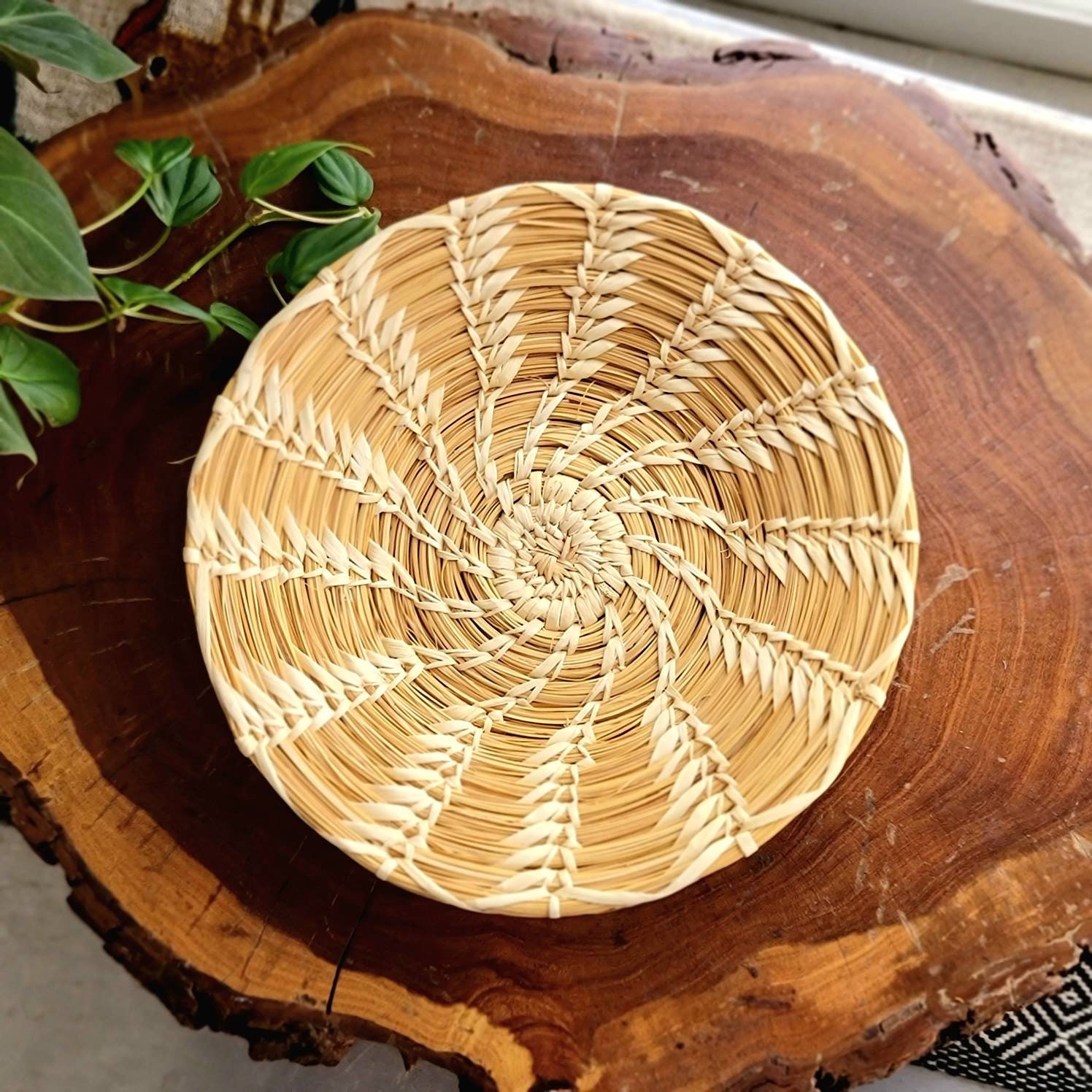 12+ Tohono O'Odham Art