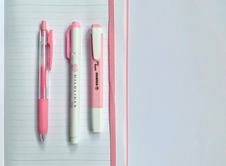 Bullet Journal Pastel Pen Set Set of 3 Pastel Pens Zebra Etsy