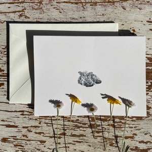 Fine Art Blanko Grußkarten mit Umschlägen, 8er-Set, Kalb, Hand, Zeichnung, Dankeskarten, Grußkarten