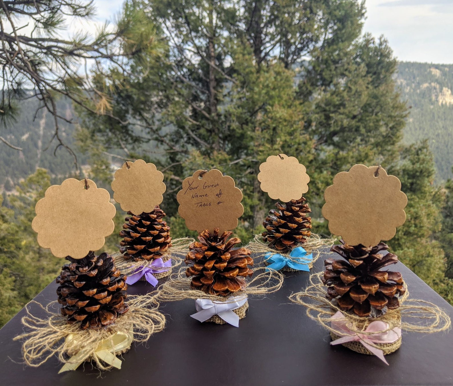 Pine Cone Guest Place Card Holder Etsy