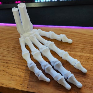 Halloween Skelett Hand