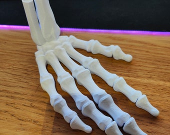 Halloween Skeleton Hand