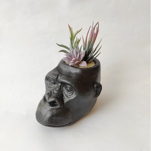 May include: A black gorilla head-shaped planter with a textured finish. The planter contains a selection of artificial succulents in green, purple, and red. The planter is set against a white backdrop.