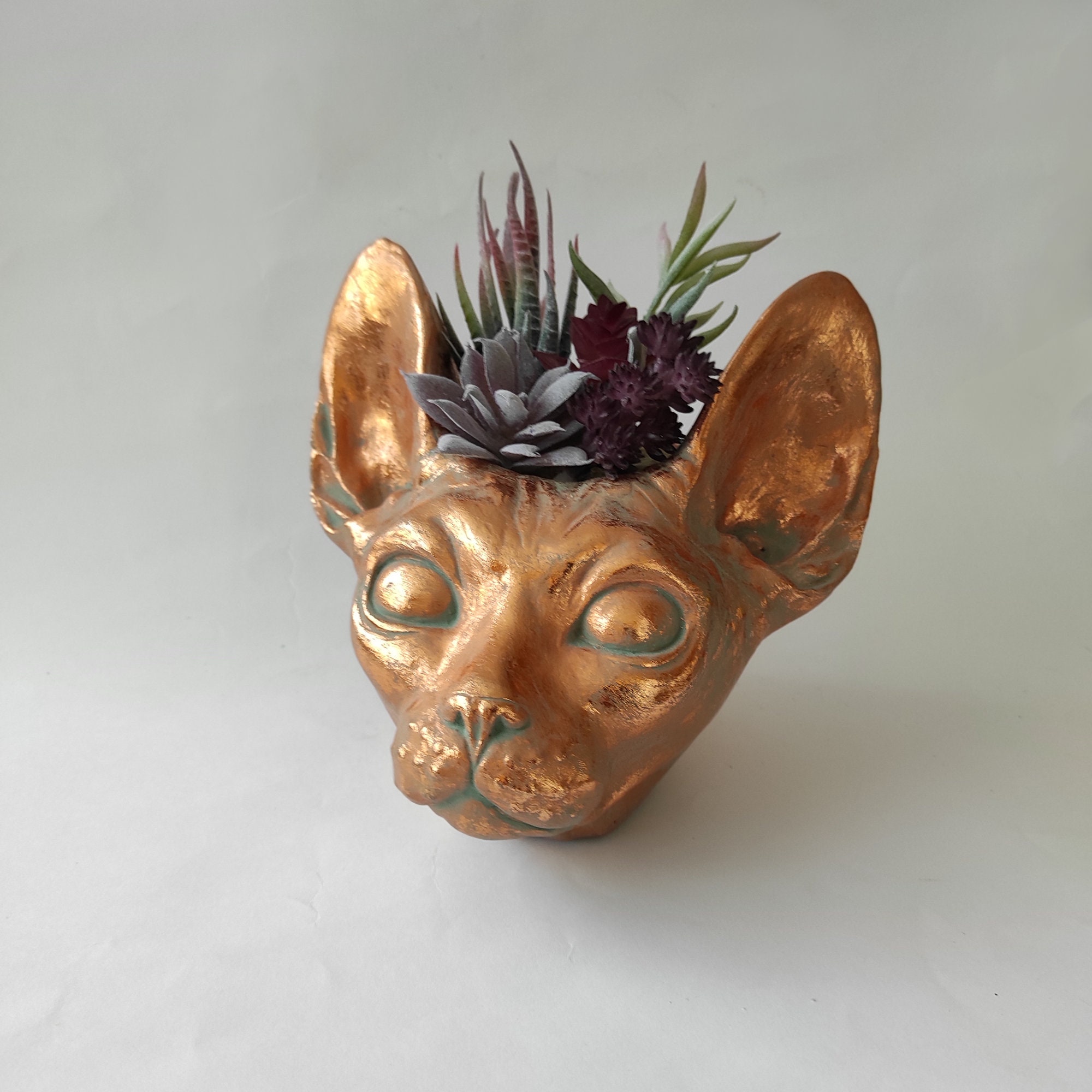 Jardinière en béton « Chat Sphynx », jardinière en or, jardinières d'intérieur, jardinière en béton, jardinière succulente, jardinière chat, jardinièr