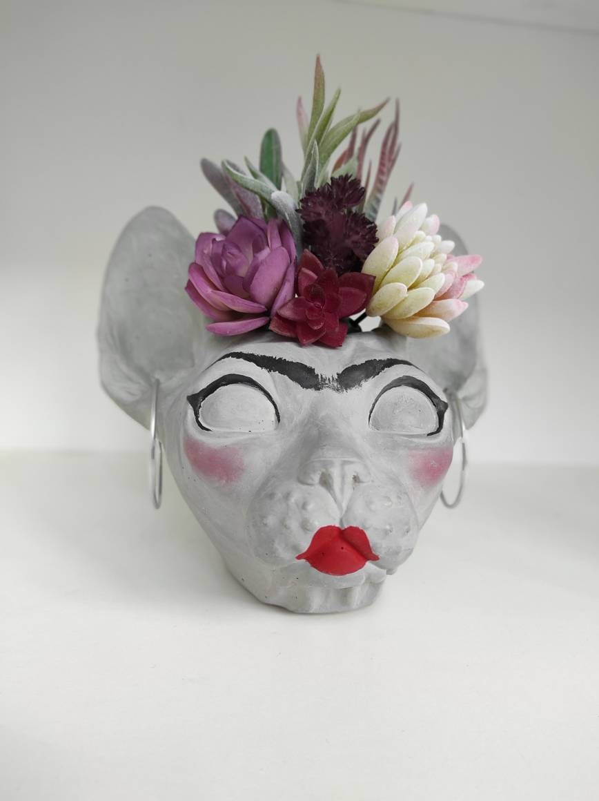 Pot en béton « Frida Cat », jardinières intérieures, jardinière en béton, jardinière succulente, petite jardinière, pot pour chat, jardinière pour ani
