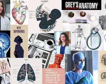 Anatomy Wallpaper Etsy