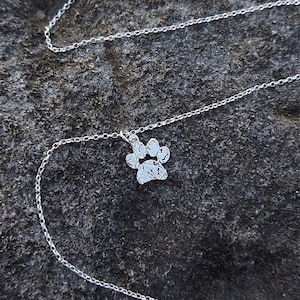 Puede incluir: Un collar de cadena de plata con un pequeño dije de huella de pata de plata. El collar está sobre una superficie gris texturizada.
