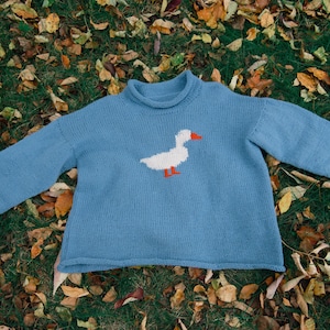 May include: A light blue knit sweater with a white goose design on the front. The goose has an orange beak and feet. The sweater is lying on a bed of green grass and fallen leaves.