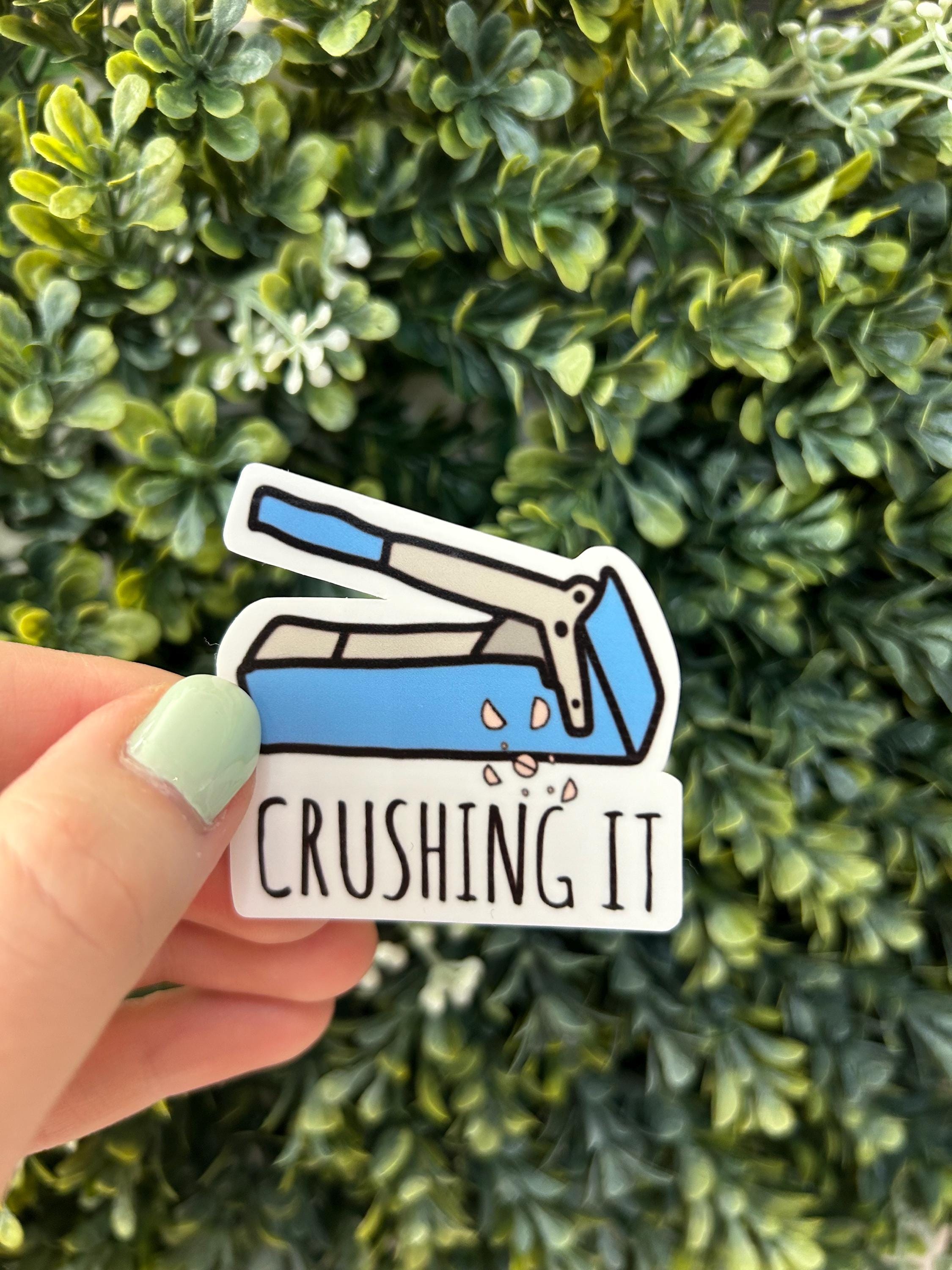 Crushing It Pill Crusher Healthcare/nursing Sticker - Etsy