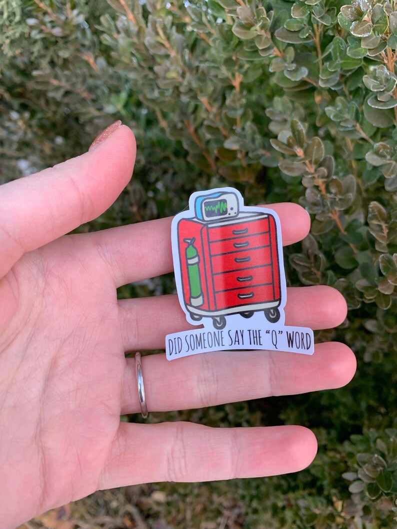 Did Someone Say the q Word Crash Cart Etsy